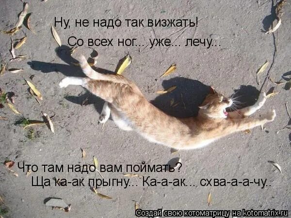 смешно про скуку. радикулит прикол. кот обожравшийся сметаны. радикулит картинки прикольные. ну подумаешь там.