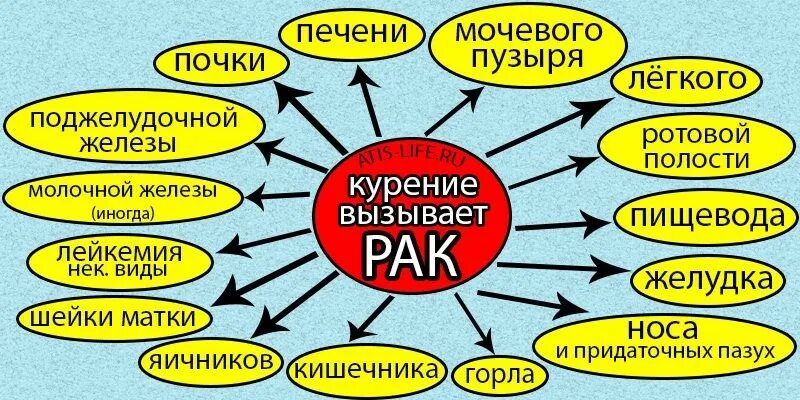 Заболевания от курения сигарет. К каким заболеваниям может привести курение. К каким болезням приводит курение. К каким заболеваниям может привести курение. Последствия курения табака.