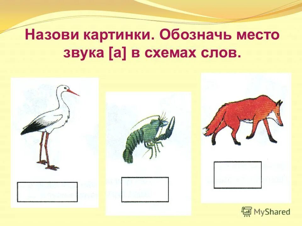 Назови первый звук. Определи место звука в слове. Позиция звука в слове. Нахождение места звука в слове. Место звука в слове схема.