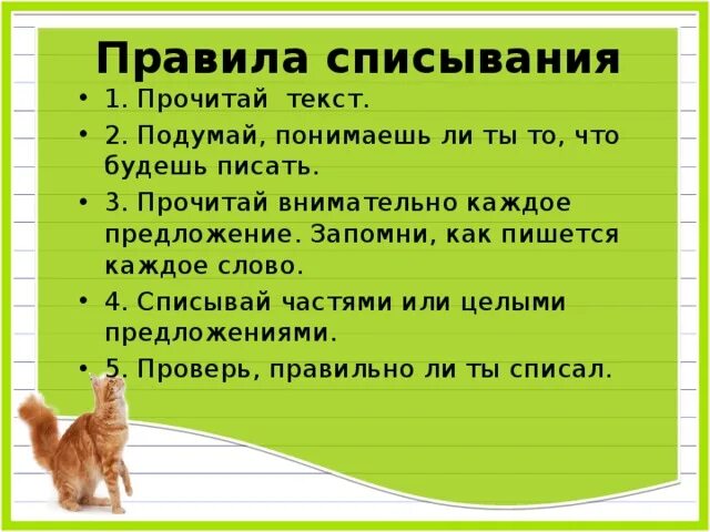 Алгоритм списывания текста 1 класс школа россии. Текст для списывания. Списывание 1 класс. Правила списывания. Тексты для списывания 2 класс школа России.