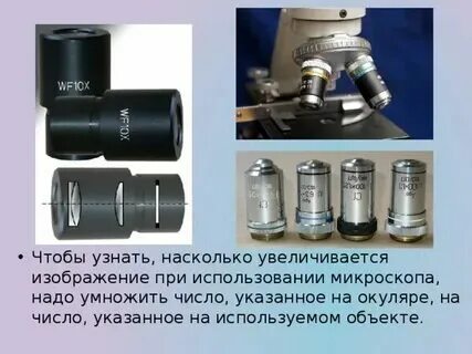 Увеличение объектива 200 какое увеличение дает