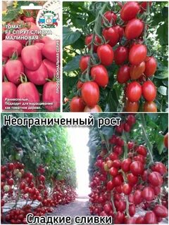 Сливка малиновая
