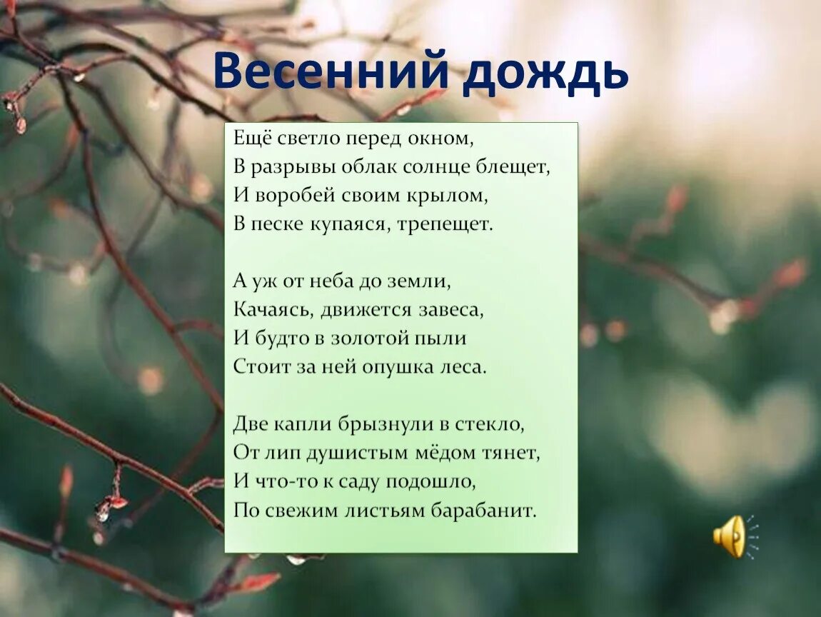 Тютчев береза. Стихотворение Есенина весенний дождь. Весенний дождь Фет стихотворение 5 класс.