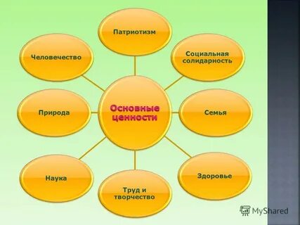 Ценность социальная солидарность