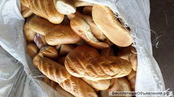 Дефекты и болезни хлеба и хлебобулочных изделий. Дефекты мякиша хлеба. Ржаной хлеб. Дефекты хлеба и хлебобулочных изделий. Дефекты мякиша хлеба.