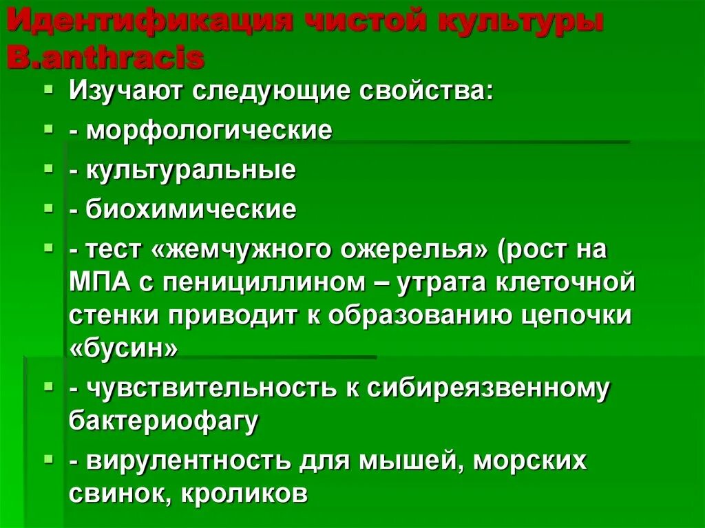 Отличительные признаки растений зерновых бобовых культур. Морфология микробов микробиология. Staphylococcus aureus тинкториальные свойства. Идентификация чистой культуры. Морфологические свойства человека.