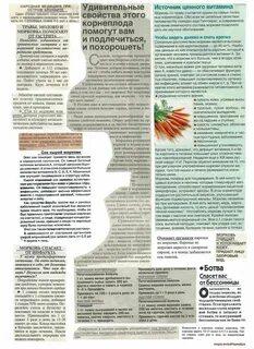 Ботва морковная ботва для организма человека