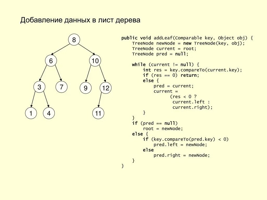 Сколько листьев на 1 дереве. Что такое узел дерева в информатике. Количество узлов в дереве. Инфографика в виде дерева. Сколько листьев на 1 дереве.