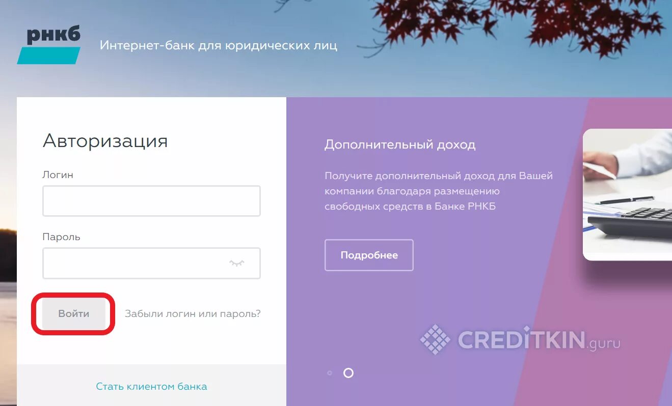 Рнкб вход в личный кабинет юр лиц