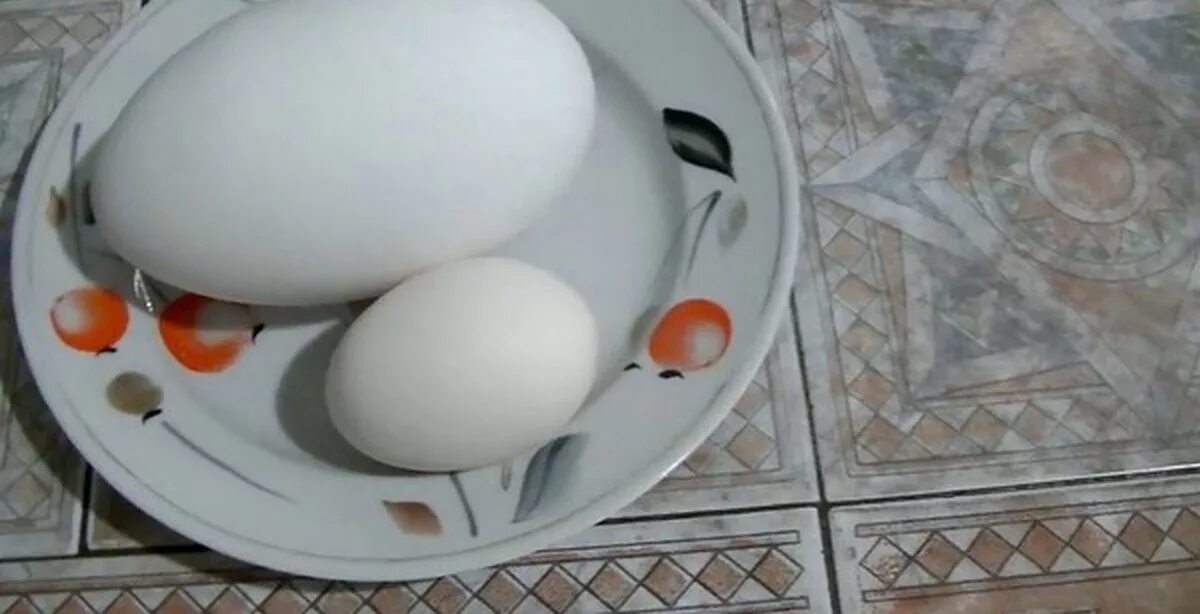 Утиное яйцо рецепт