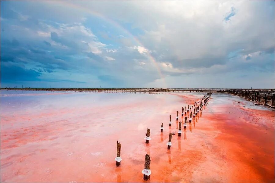 Канадский фотограф дэвид бурдени. Соляное поле. Соляные пруды австралии. Сасык-сиваш солончак. David burdeny.