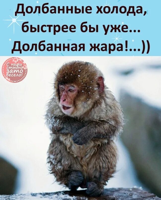 Долбанная жара скорее бы долбанные холода. Приколы про мороз. Скоро лето. Снег в апреле юмор. Доброе утро снег идет.