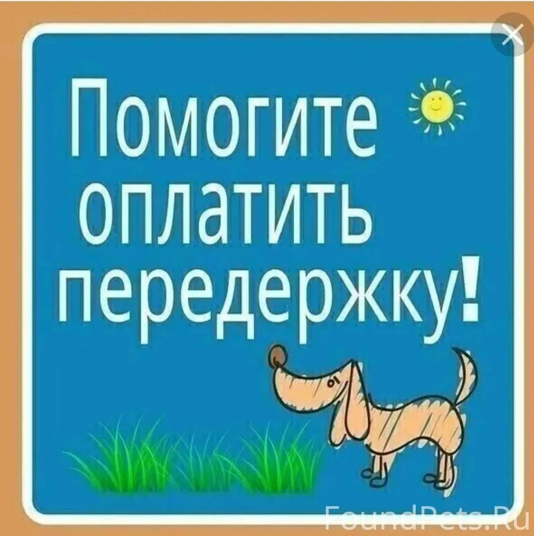 Помощь в оплате игр. Оплата передержки. помощь в оплате передержки. помогитеиоплатитл передержку.