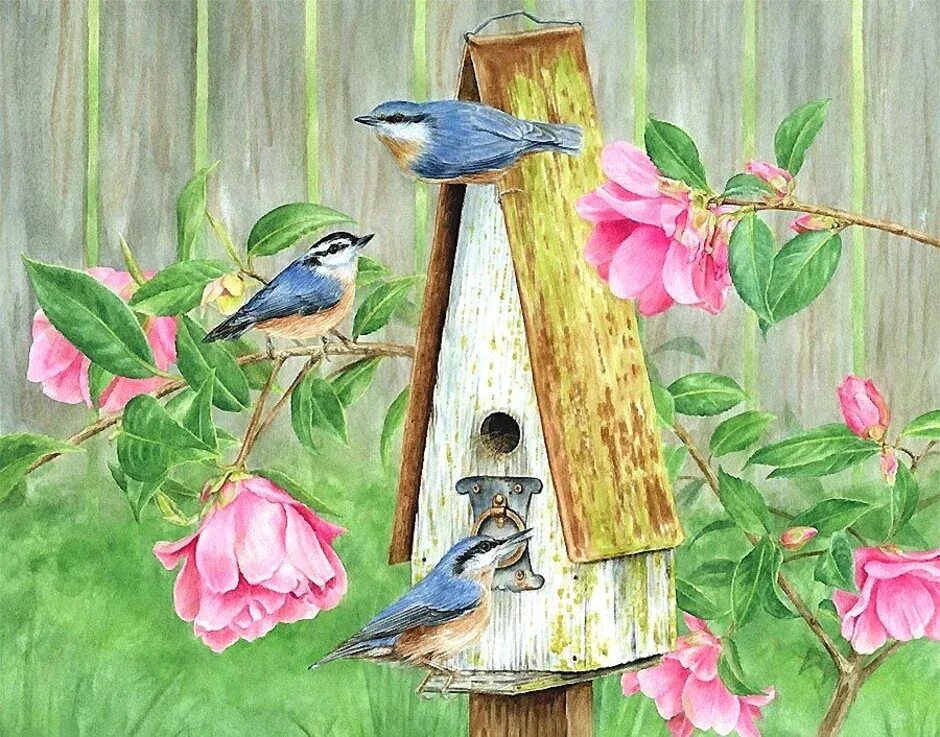 Птицы весной для детей в детском саду. Весенние птицы картинки для детей. Бианки в. Вырубной плакат. Скворечник для птиц.