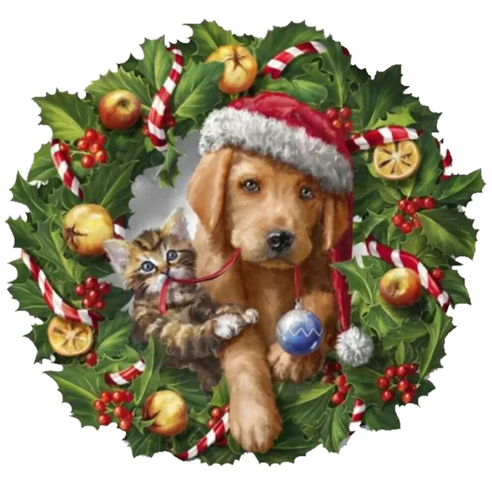 Проводим год собаки. Новогодние открытки с собачками. Рождественская открытка с животными. Новогодние коты и собаки. Новогодние собачки.
