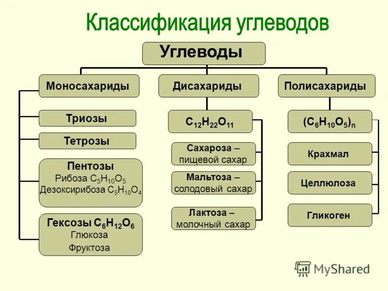Запишите классификацию углеводов. Классификация углеводов биология. классификация углеводов схема. классификация углеводов таблица 10 класс. углеводы схема по биологии 10 класс.