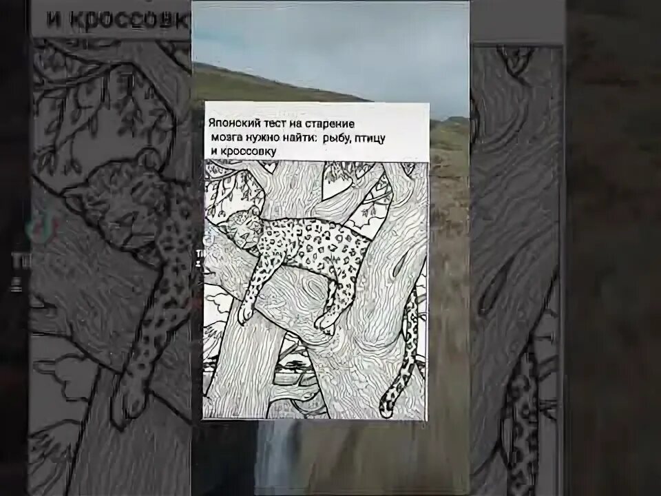 Мышь сапог рыба