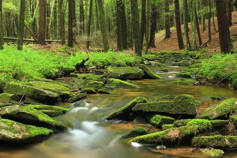 Natural area