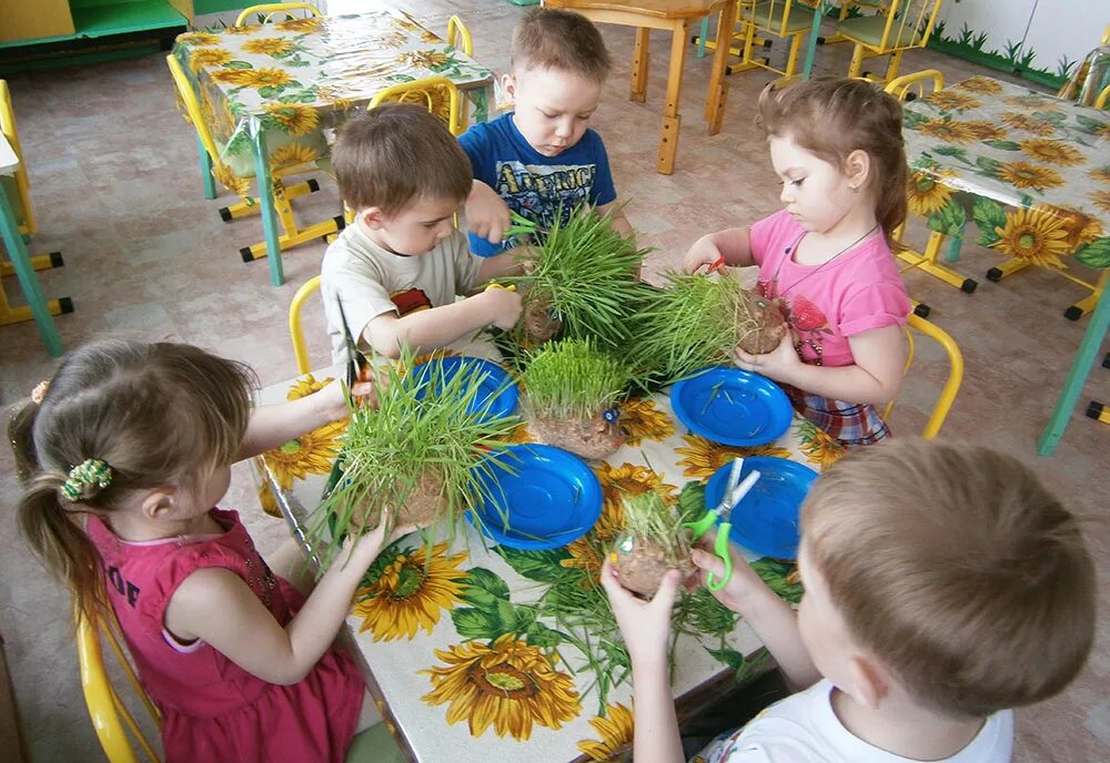Занятие по экологии в детском саду. Экологические занятия с детьми. Занятие по экологии в ДОУ. Экологическое воспитание в садике. Окружающим миром мл группа