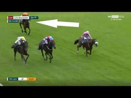 The horse won the race