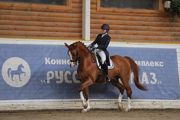 Кск русский алмаз конкур. Конюшня в москве. Русский алмаз конный клуб. Русский алмаз кск гостиница. Кск русский алмаз конкур.