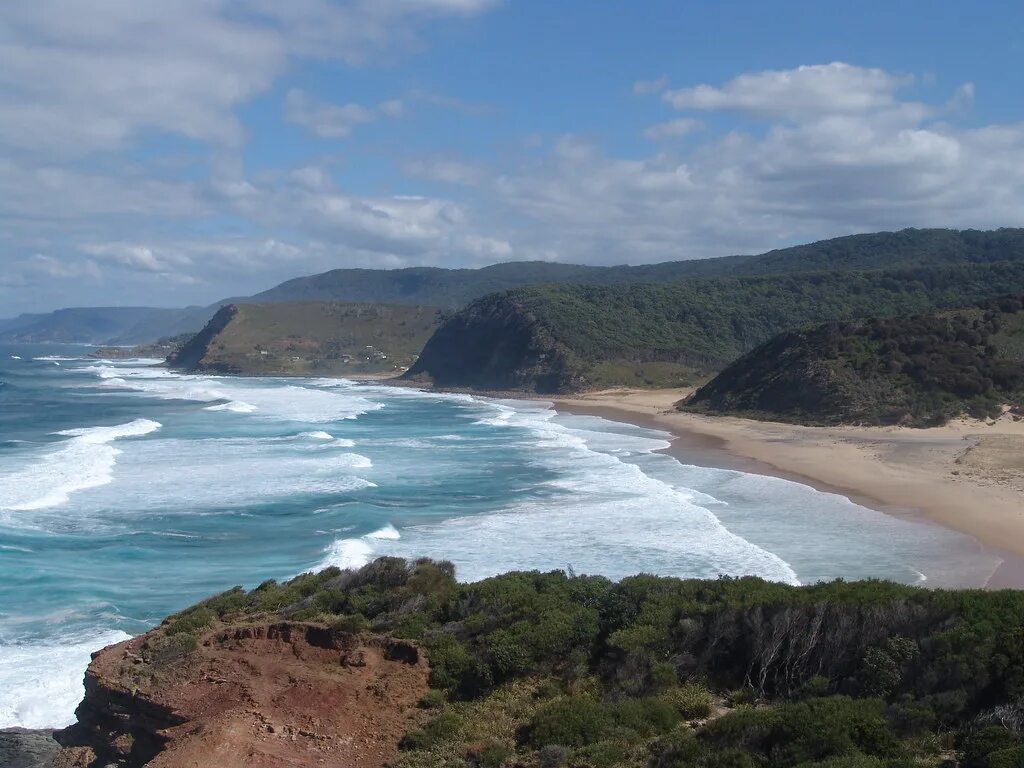 Королевский национальный парк (Royal National Park). Австралия Ройял парк. Royal National Park Australia побережье. Новый Южный Уэльс Австралия бухта Силвер.