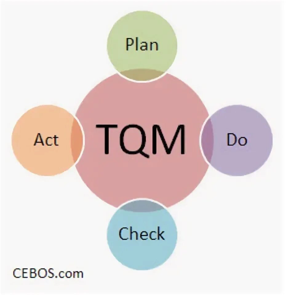 Total quality. TQM. Принципы TQM. Метод TQM (total quality Management). Total quality Management принципы.