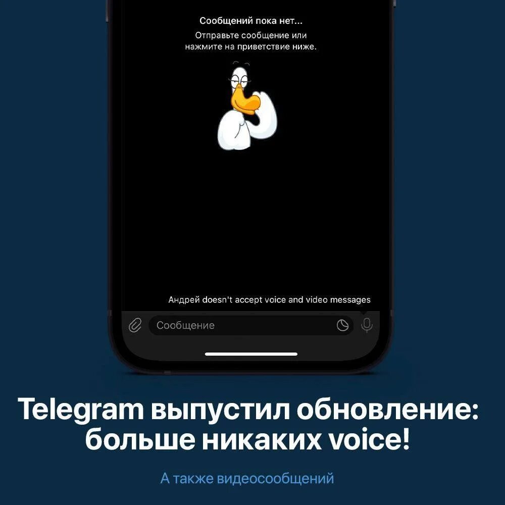 Пользователь запретил сообщения. Как запретить голосовые сообщения в телеграмме. голосовое сообщение скрин абонент запретил получать голосовые. voice message. что сказать чтобы получить голосовое сообщение в виде сердечка.