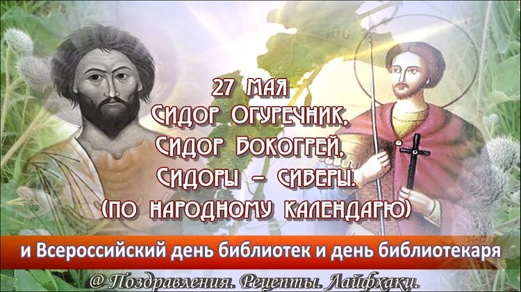 27 мая 2023 года. Сидор бокогрей 27 мая. 27 Мая народный календарь. Сидор бокогрей приметы. Сидор огуречник 27 мая.