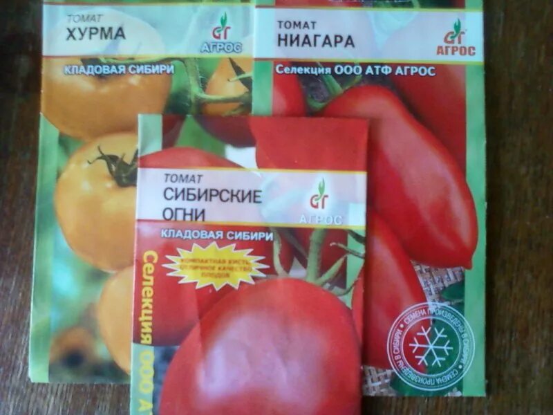 Томат ниагара характеристика и описание сорта. Томат ниагара. томат ниагара характеристика. томат ниагарский водопад. томат ниагара описание сорта.