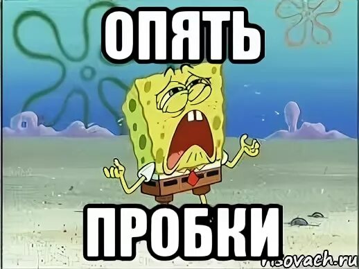 При встрече с медведем прикол. Кот не дает спать. Кот хочет спать. Приближаться опять. До сессии осталось.