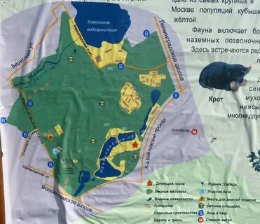 Покровское стрешнево парк как добраться на метро