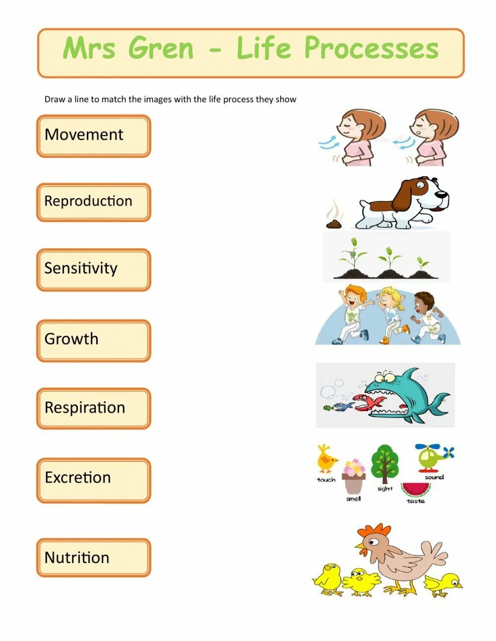 Process Worksheet. Processes of Life. Life processes for Kids. Life process: Mrs Green. Life processes