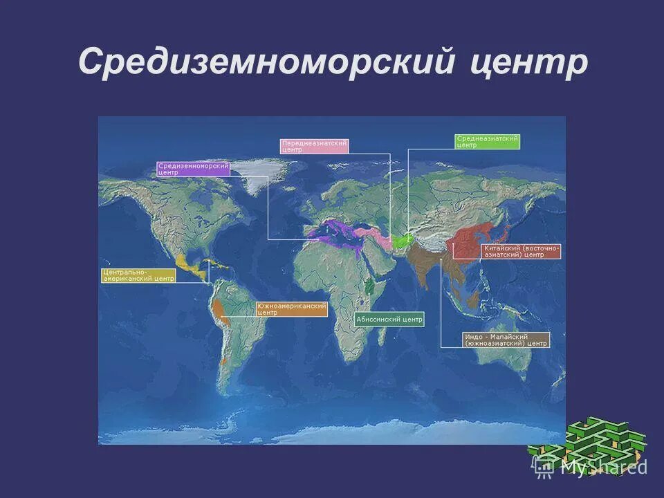 центр происхождения и многообразия культурных растений н и вавилова. и вавилову. центры происхождения культурных растений по вавилову таблица. центры многообразия и происхождения культурных растений вавилов. карта вавилова центры происхождения культурных растений.