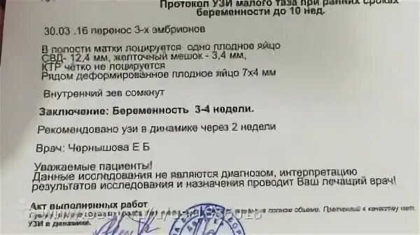 Первое узи после переноса эмбрионов