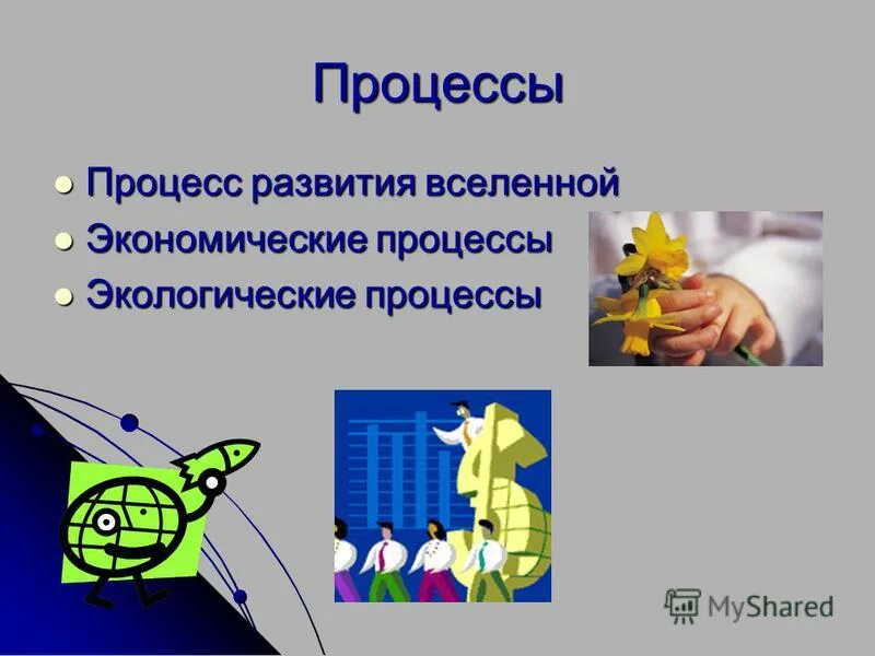 Моделированием экологических процессов занимается. Моделированием экологических процессов занимается