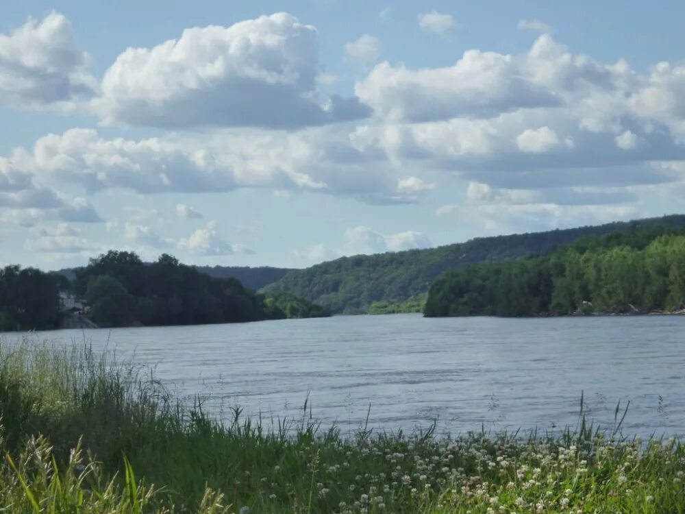 Река уссури приморский край. Река большая уссурка. Фото реки большая уссурка. Река большая уссурка приморский край. Река большая уссурка приморский край.