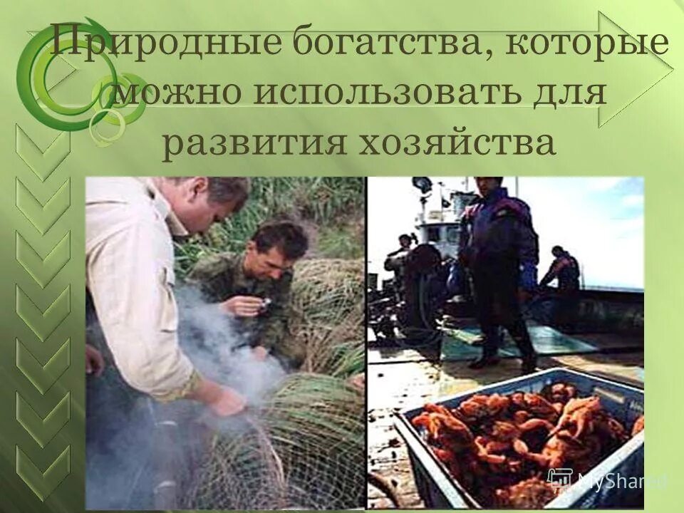 Природные ископаемые. Ресурсы природы. Виды природных ресурсов схема. Природные богатства которые можно использовать для развития. Минеральные природные ресурсы.