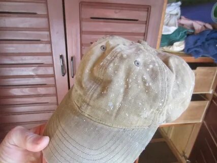 Плесень на вещах в шкафу фото EcoDM.ru