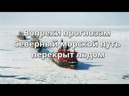 Вопреки предсказанию старожилов было тепло