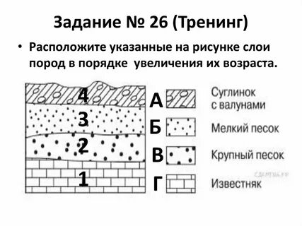 Возраст каких горных пород
