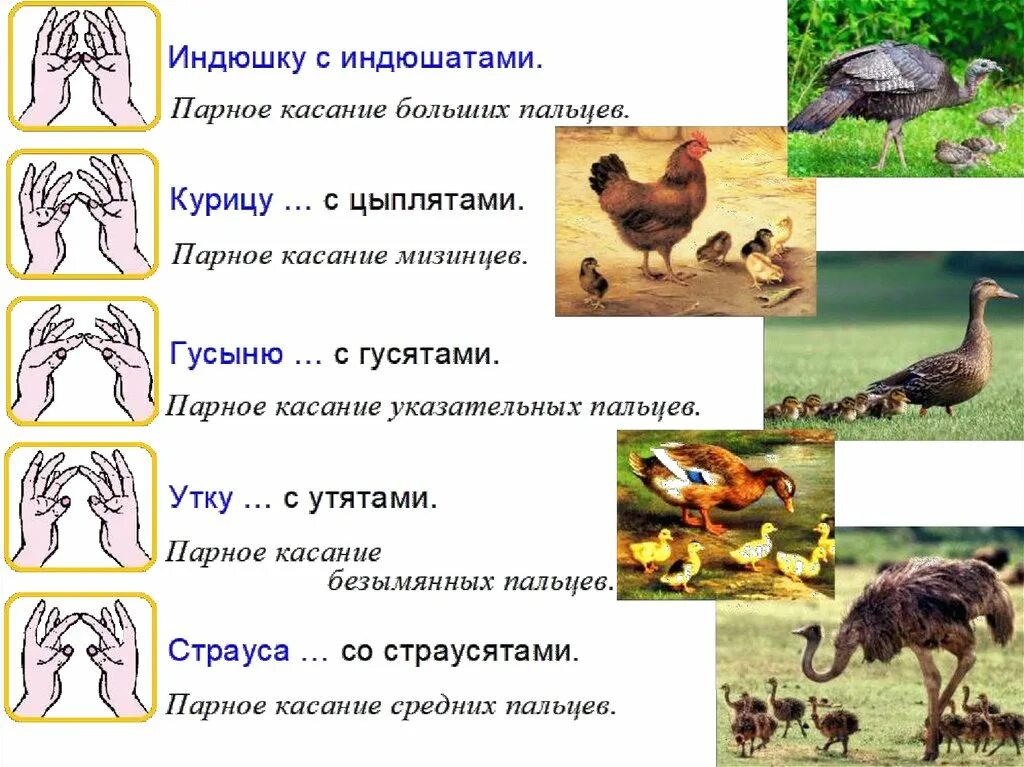 Пальчиковая гимнастика про домашних птиц. Пальчиковая домашние птицы. Пальчиковая гимнастика петушок для малышей. Пальчиковую гимнастику для детей тема домашние птицы. Пальчиковая гимнастика про домашних птицах для детей.