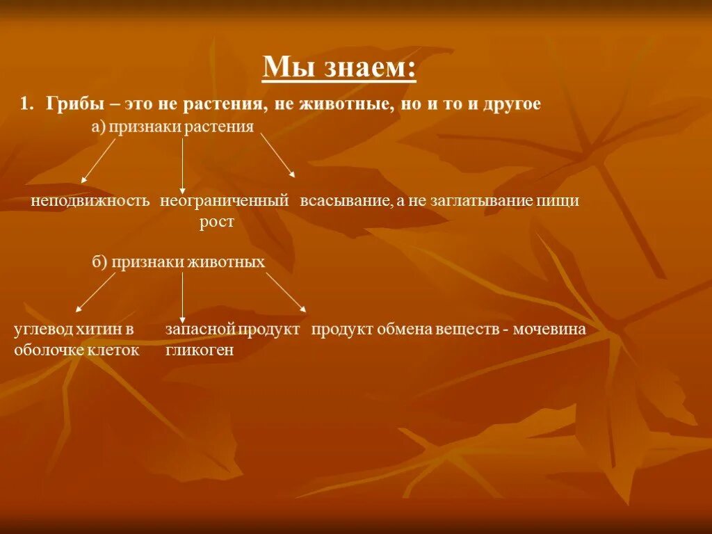 Способы движения грибов. Мочевина у грибов и животных. Мочевина у грибов. Признаки грибов неподвижность. Характеристика грибов неограниченный рост активный образ жизни