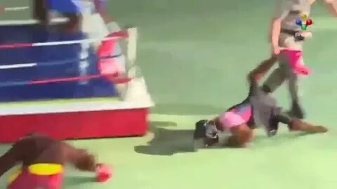 Видео смешных боев
