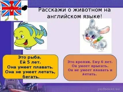 Правило по английскому языку 2 класс can. Вопросительные слова таблица. Она умеет на английском языке. Она умеет на английском языке. Глагол can 2 класс.