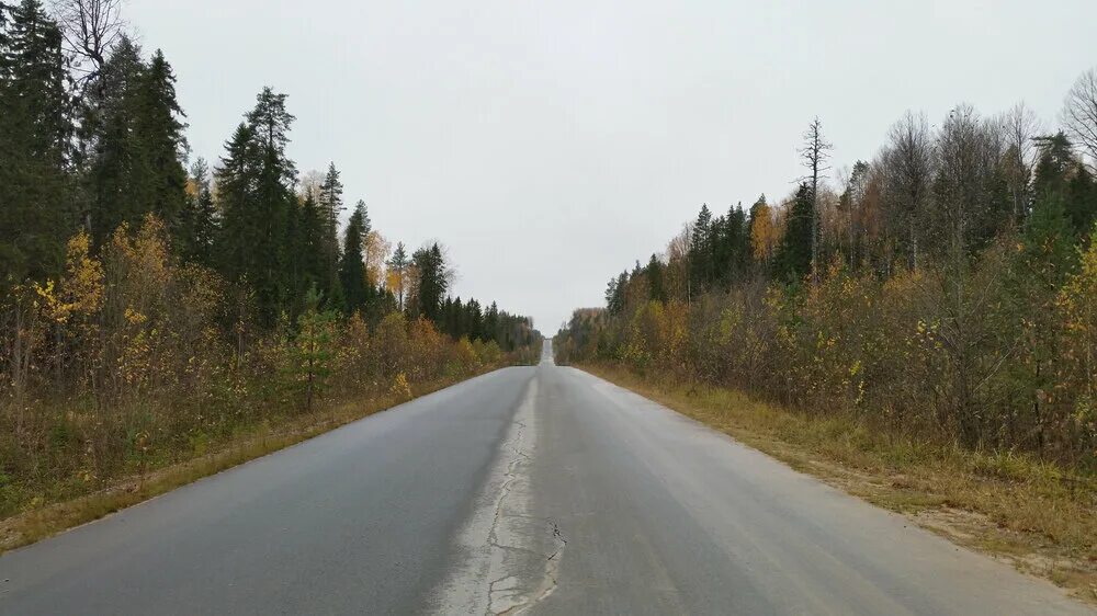 Дорога пудож каргополь. Автодорога Вытегра-Каргополь. Дорога Вытегра Пудож. Пудож Каргополь состояние дороги.