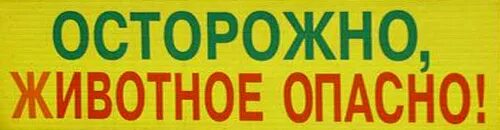Осторожные звери. Зоопарк вывеска. Осторожно звери. Осторожные звери. Осторожно зоопарк.