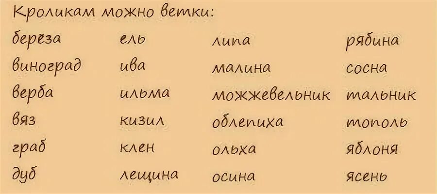 Можно ли давать листья. Ветки каких деревьев можно давать кроликам декоративным. какую траву можно давать кроликам. какие ветки можно давать кроликам декоративным. какую траву можно нарыать кролику.