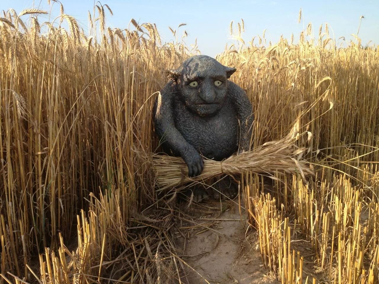 Поле хранитель