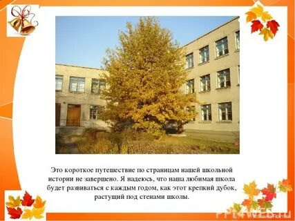 Моя школа 45